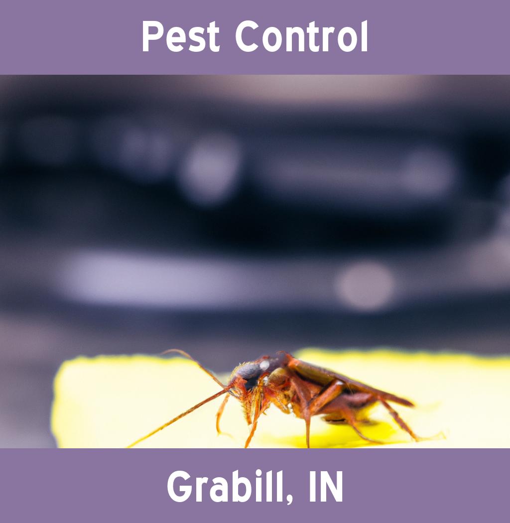pest control in Grabill Indiana