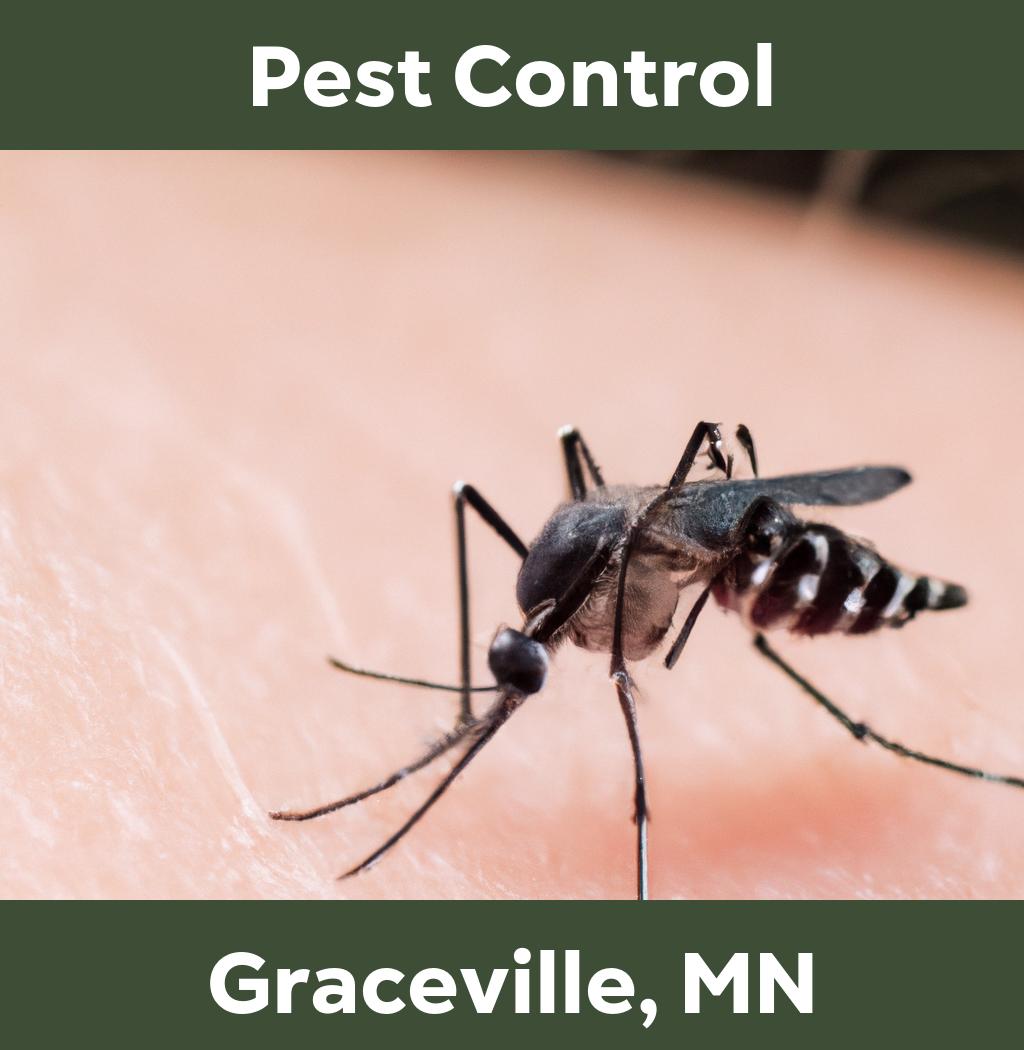 pest control in Graceville Minnesota