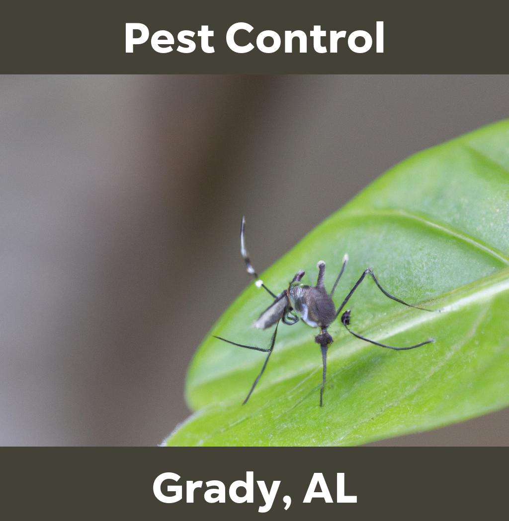 pest control in Grady Alabama