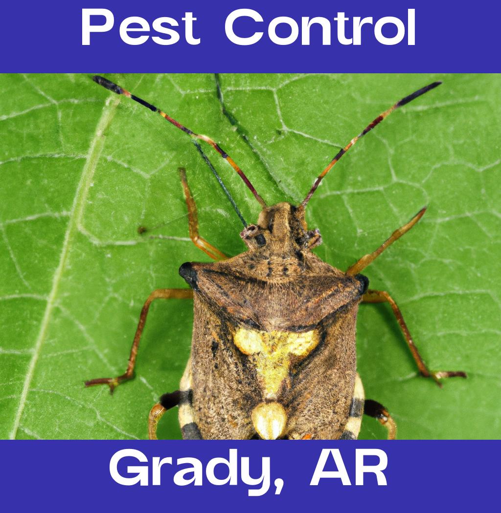 pest control in Grady Arkansas