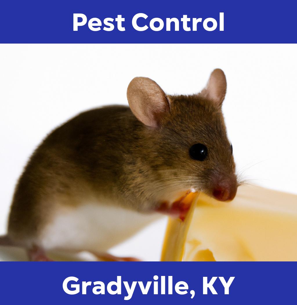 pest control in Gradyville Kentucky