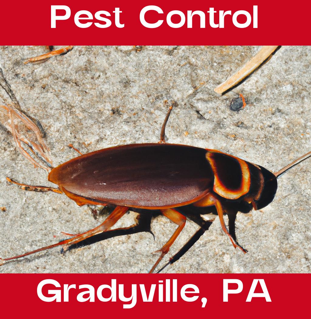 pest control in Gradyville Pennsylvania