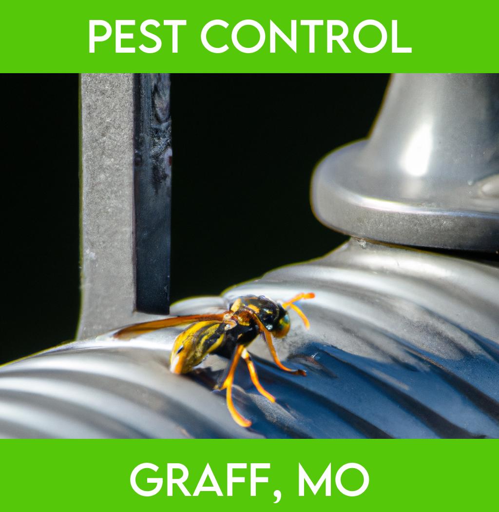 pest control in Graff Missouri