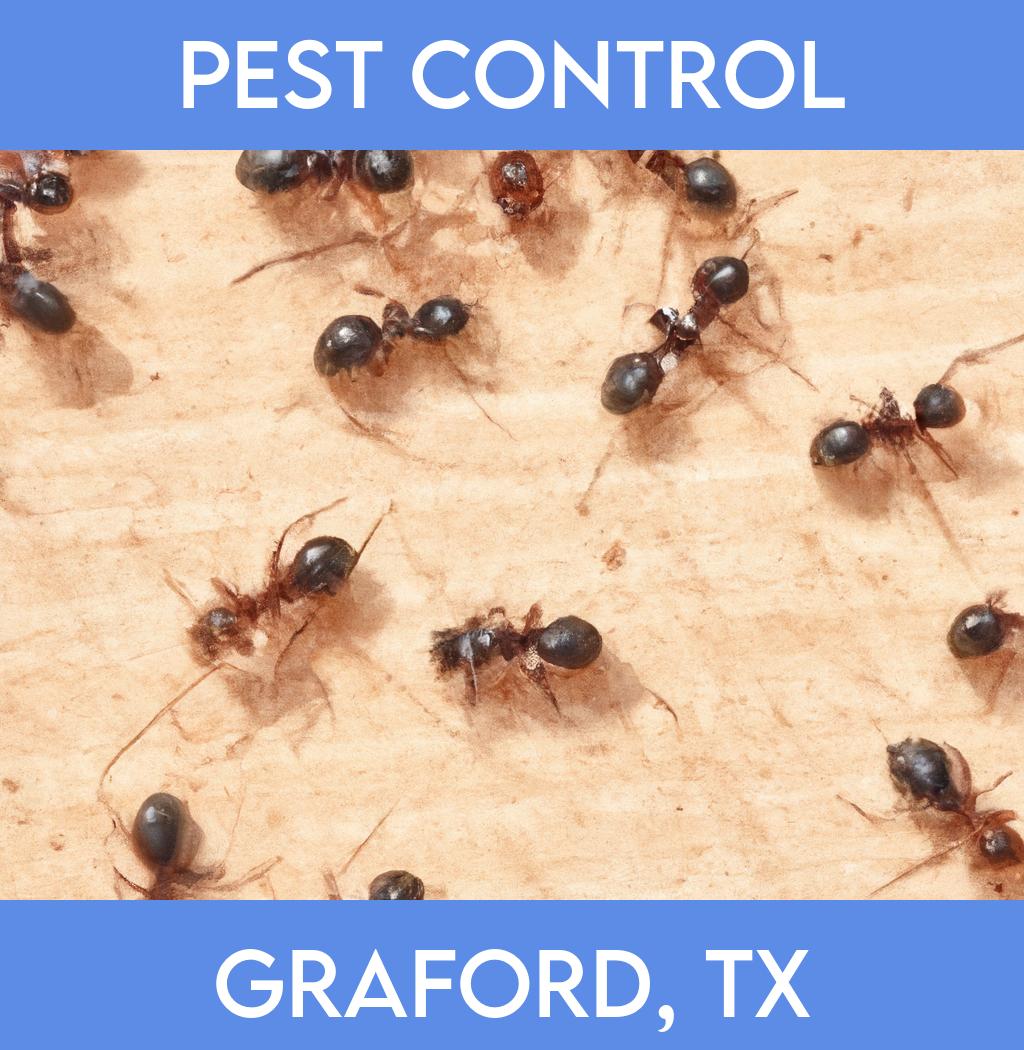 pest control in Graford Texas