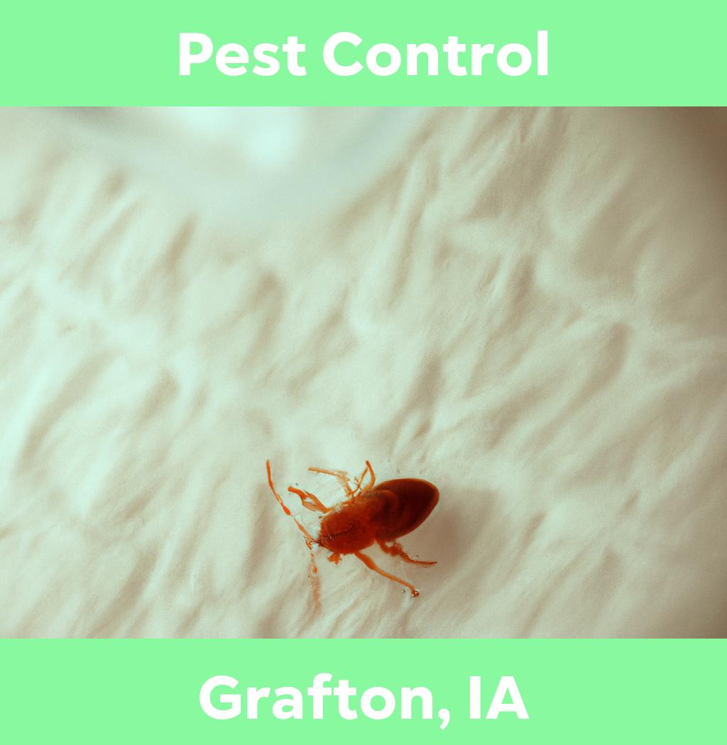 pest control in Grafton Iowa