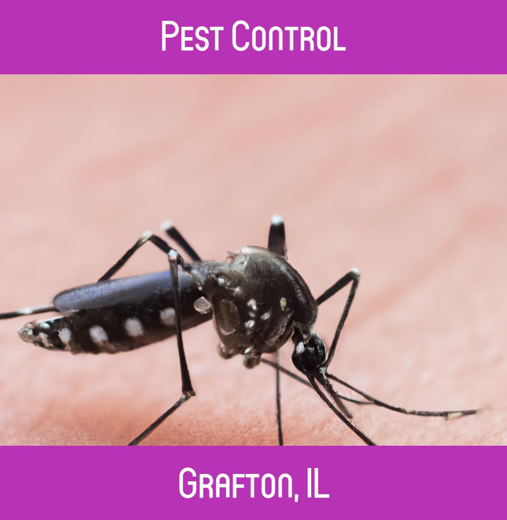 pest control in Grafton Illinois