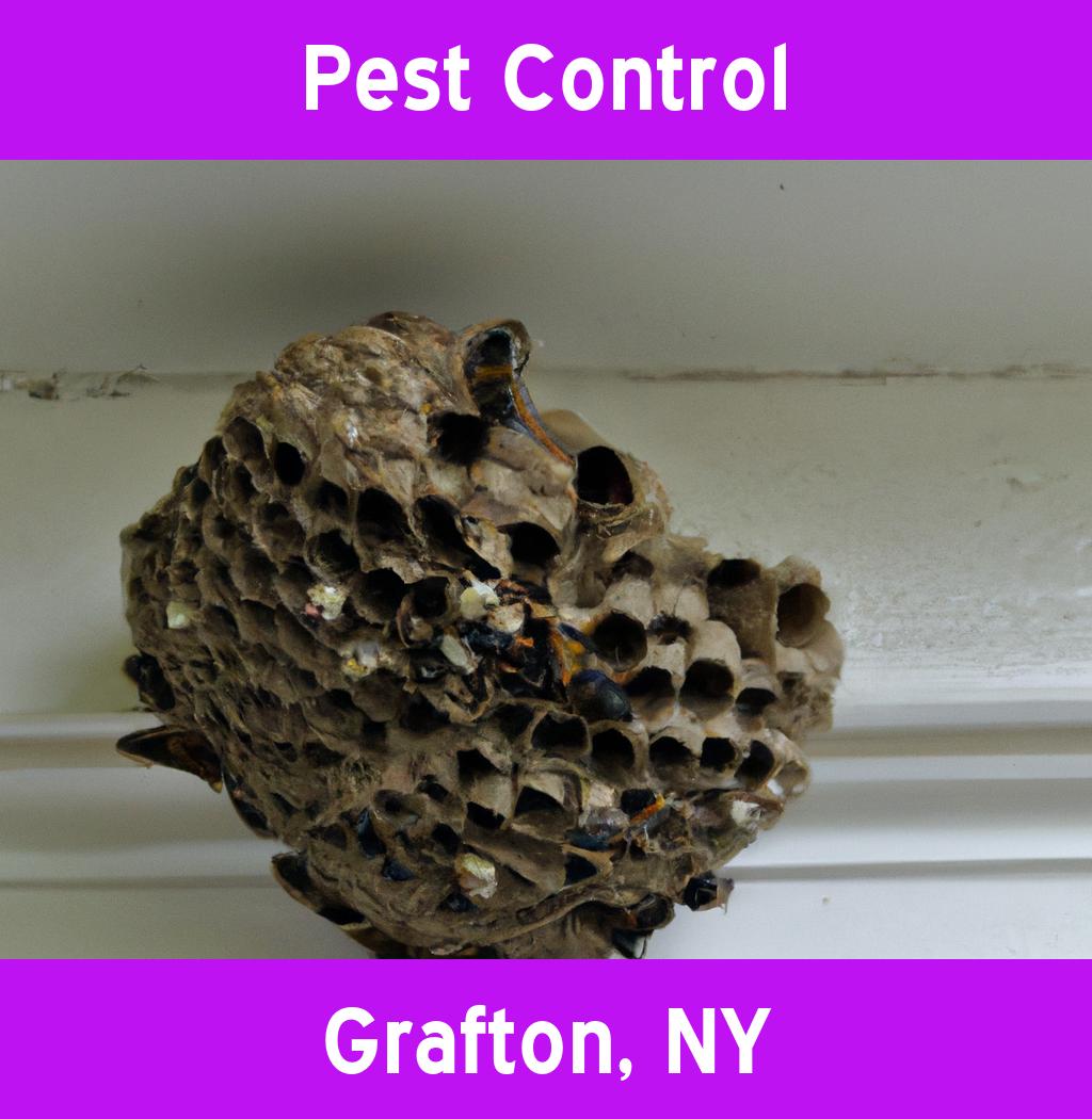 pest control in Grafton New York