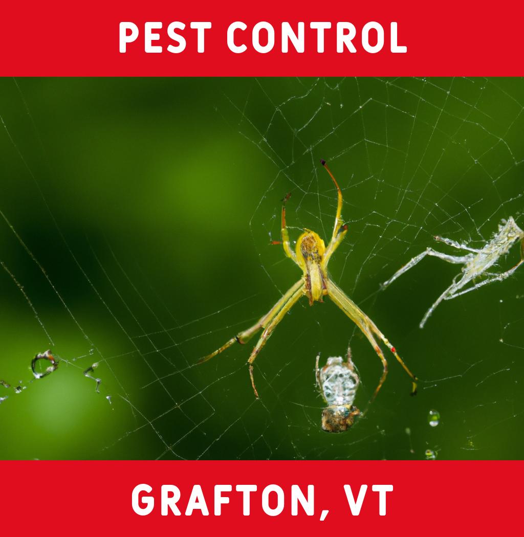 pest control in Grafton Vermont