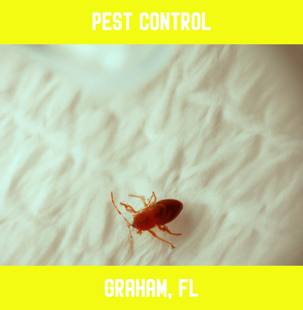 pest control in Graham Florida