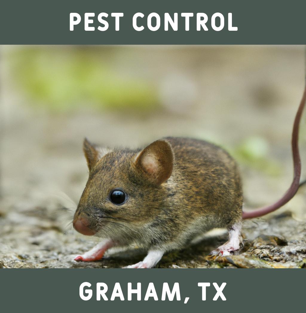 pest control in Graham Texas