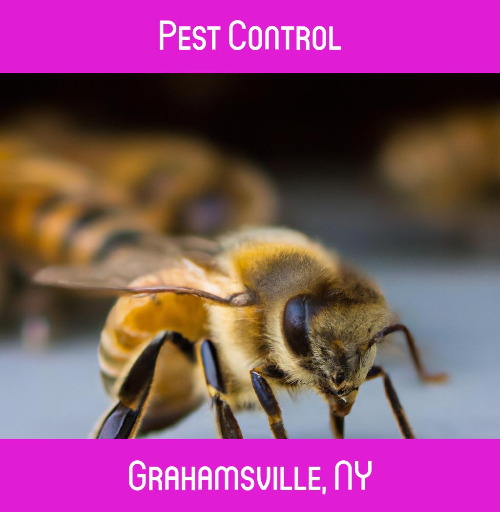 pest control in Grahamsville New York