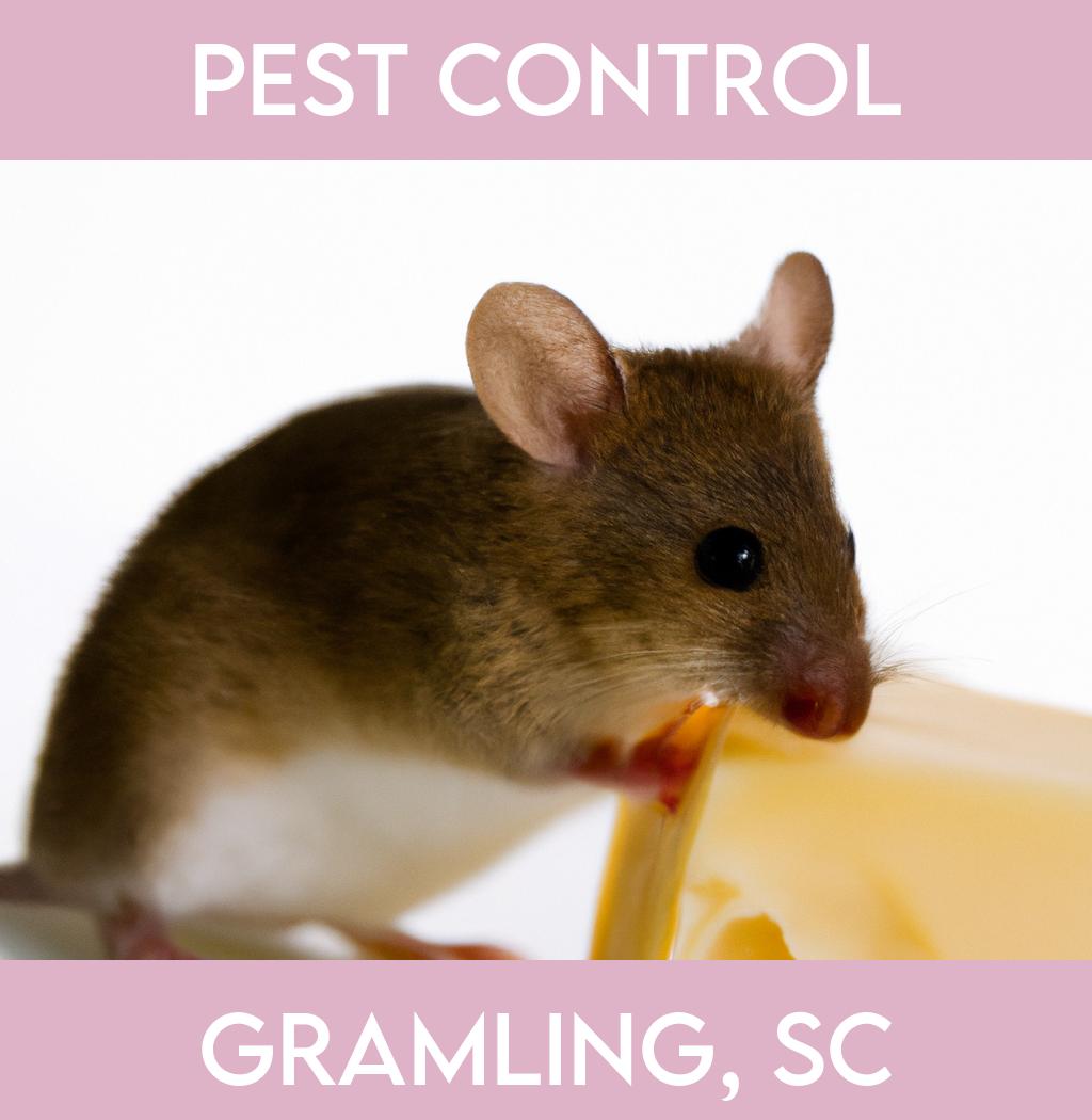 pest control in Gramling South Carolina