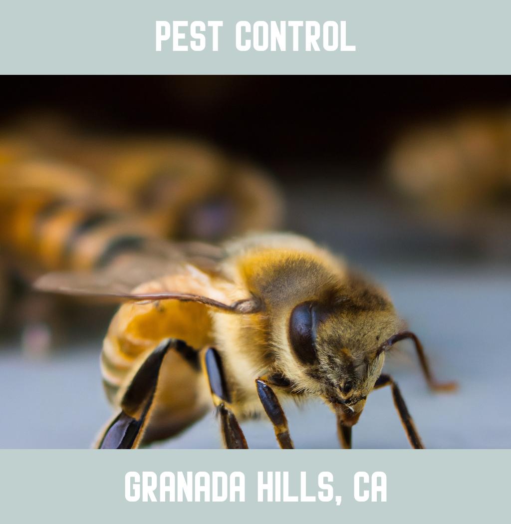 pest control in Granada Hills California
