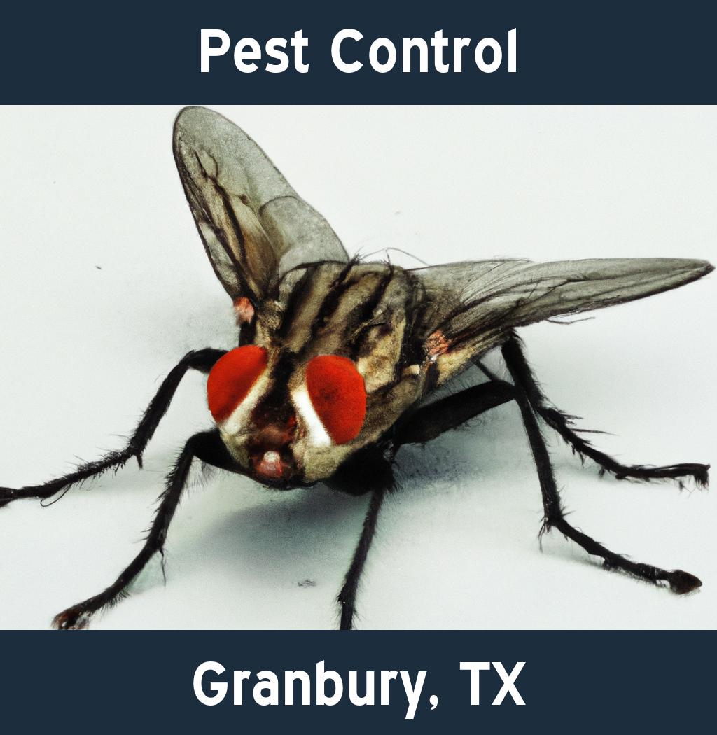 pest control in Granbury Texas
