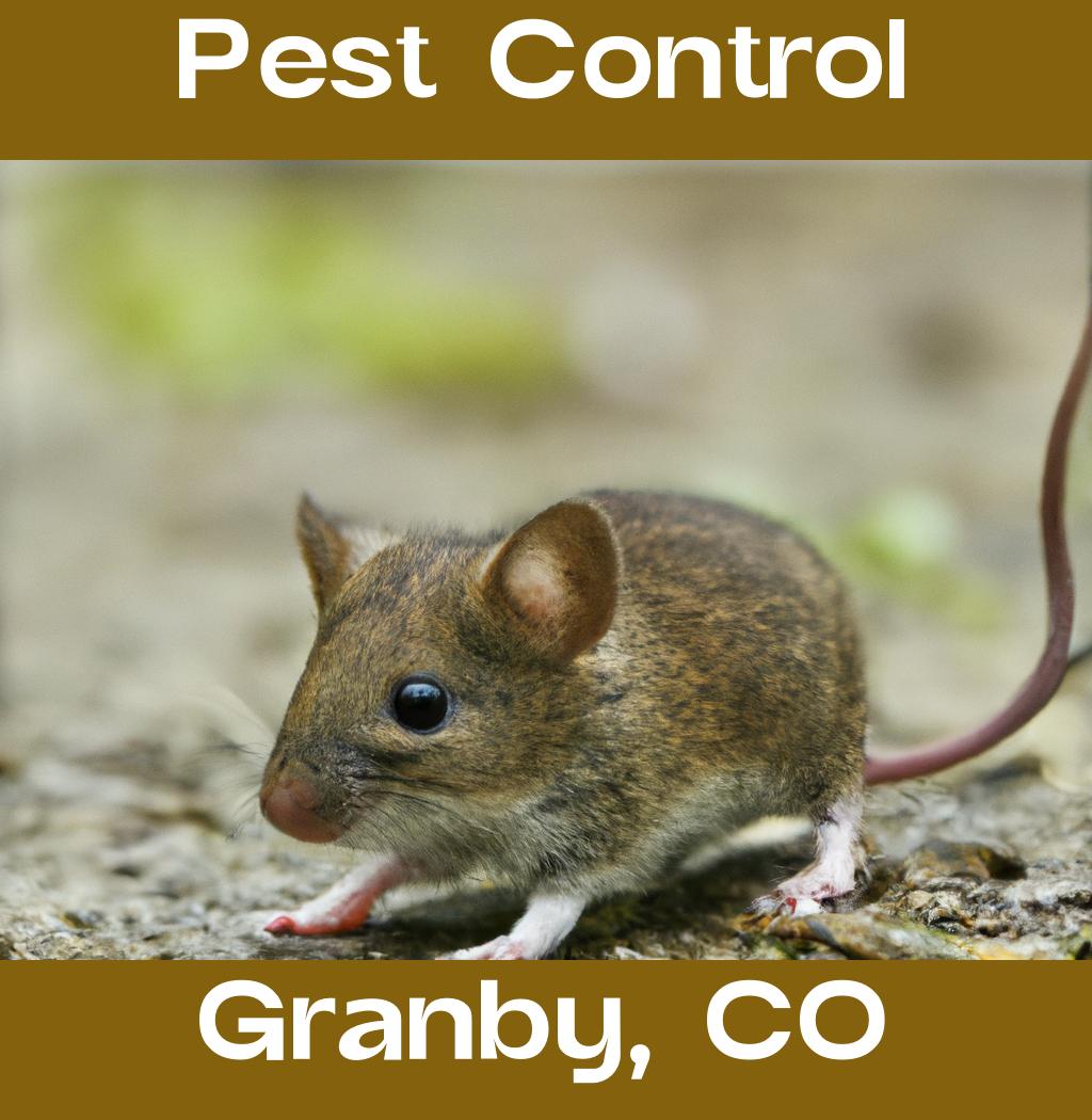 pest control in Granby Colorado