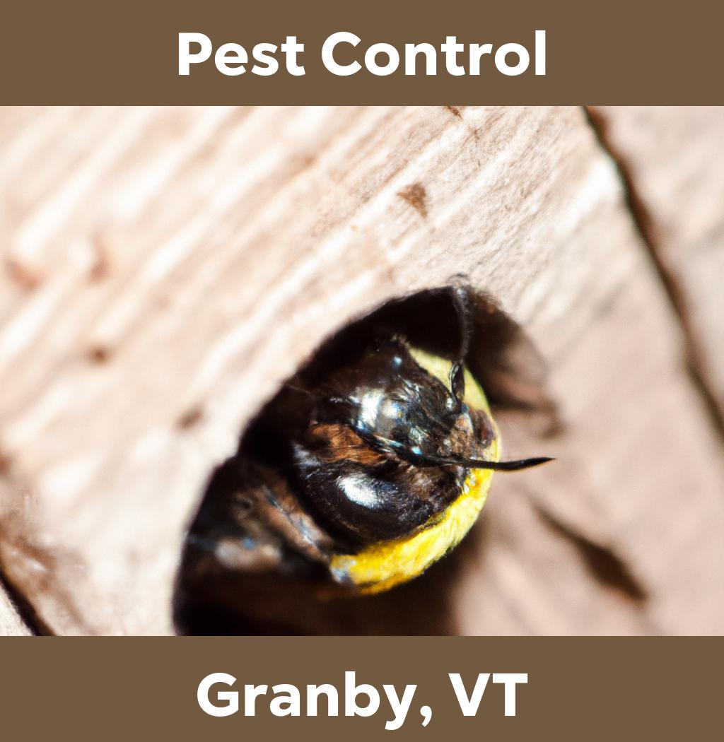 pest control in Granby Vermont