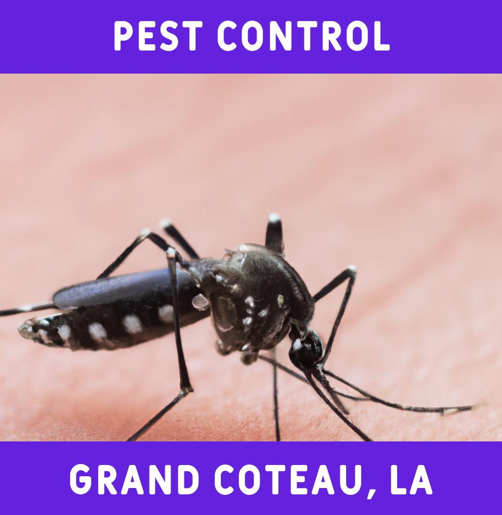 pest control in Grand Coteau Louisiana