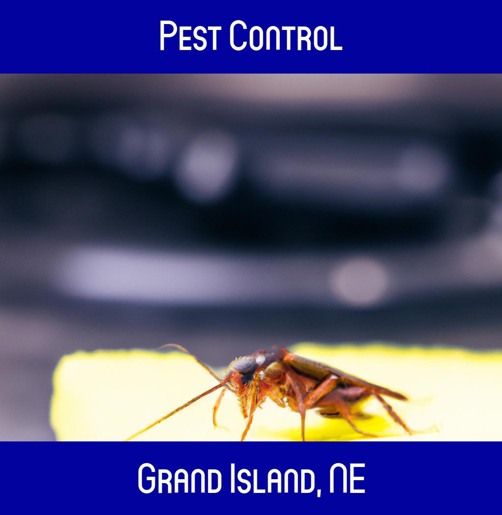 pest control in Grand Island Nebraska