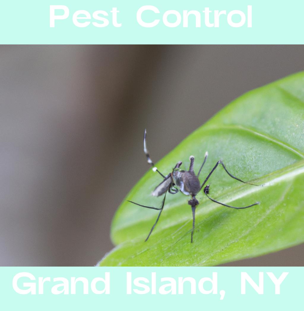 pest control in Grand Island New York