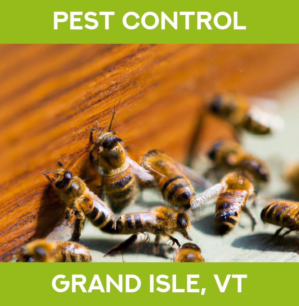 pest control in Grand Isle Vermont
