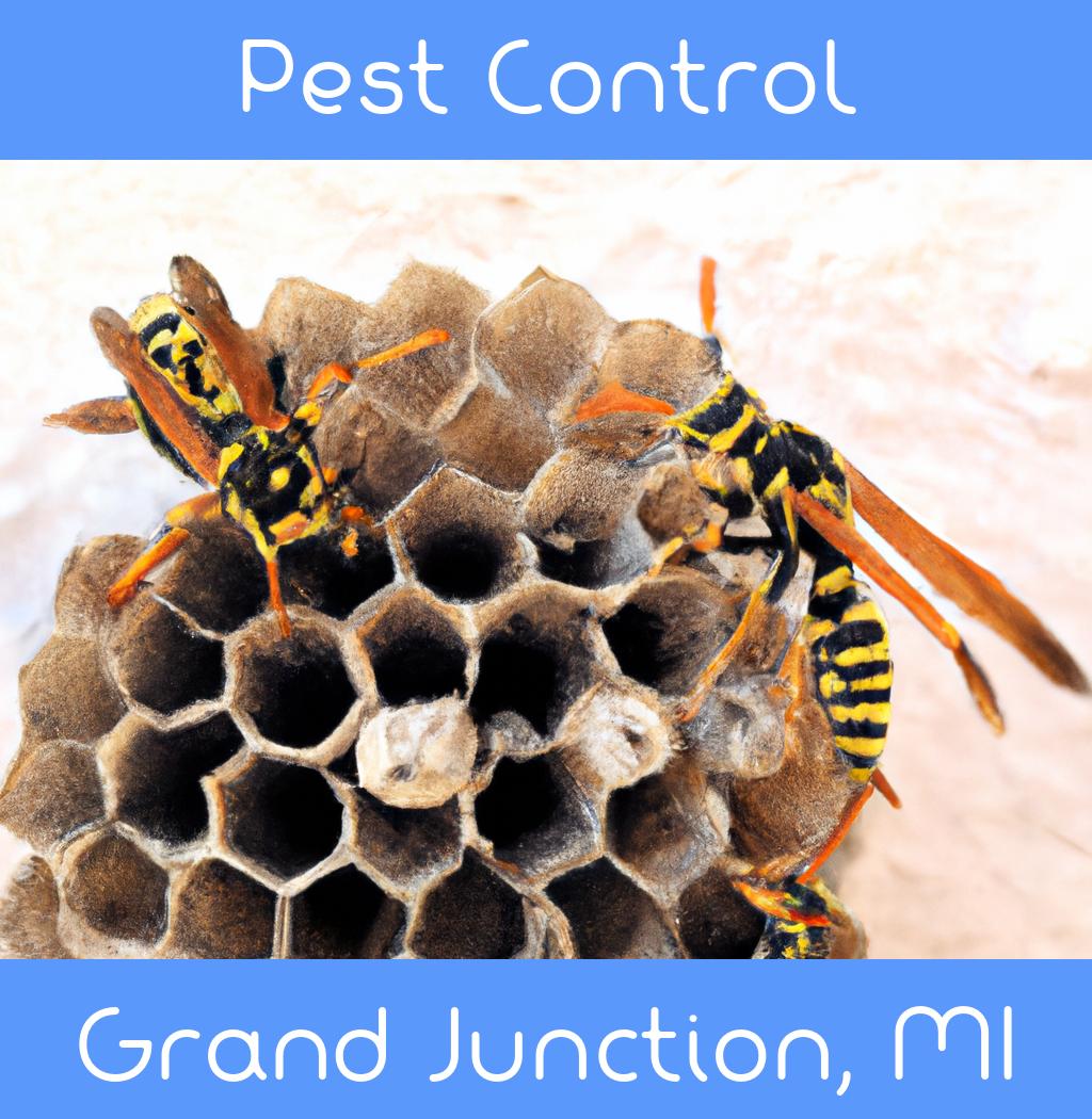 pest control in Grand Junction Michigan