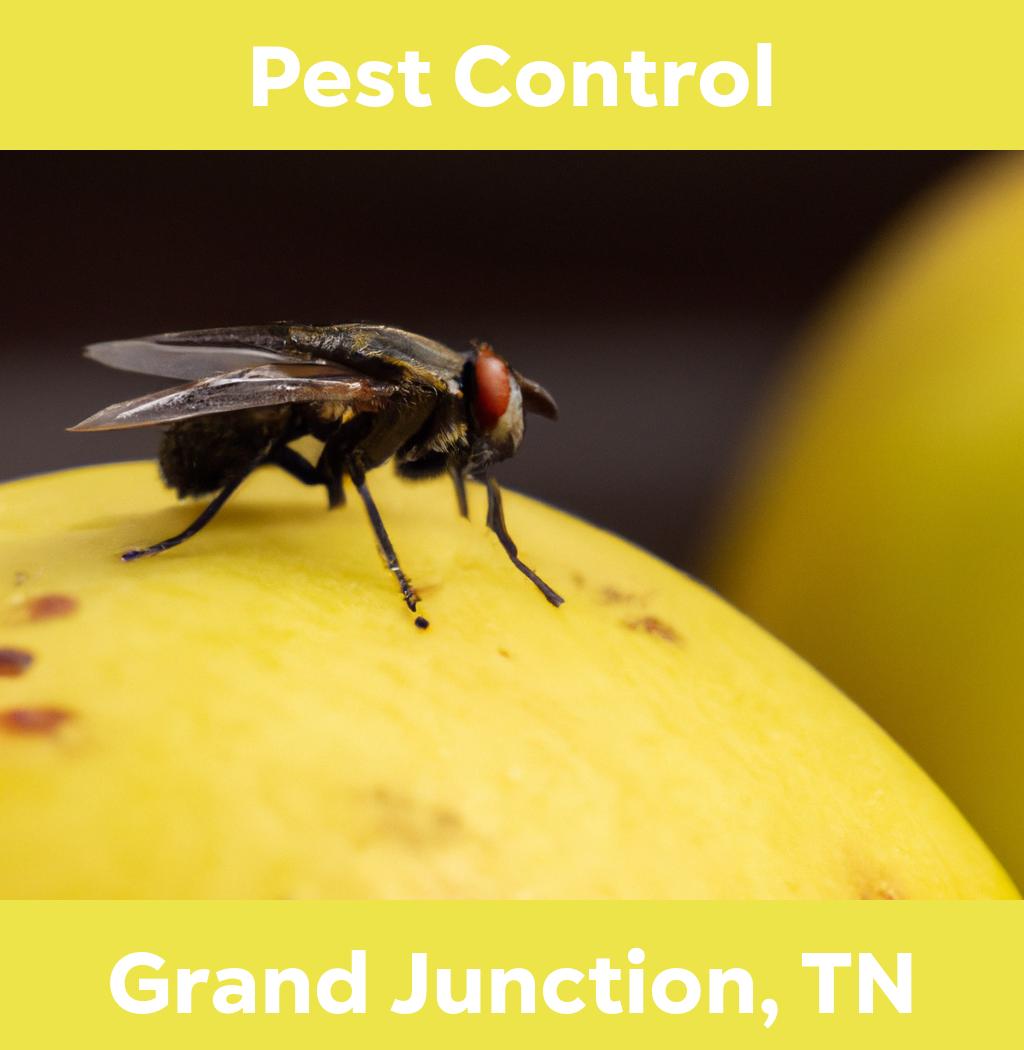 pest control in Grand Junction Tennessee