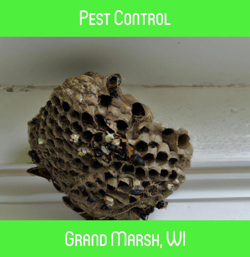 pest control in Grand Marsh Wisconsin