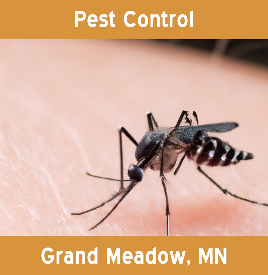 pest control in Grand Meadow Minnesota