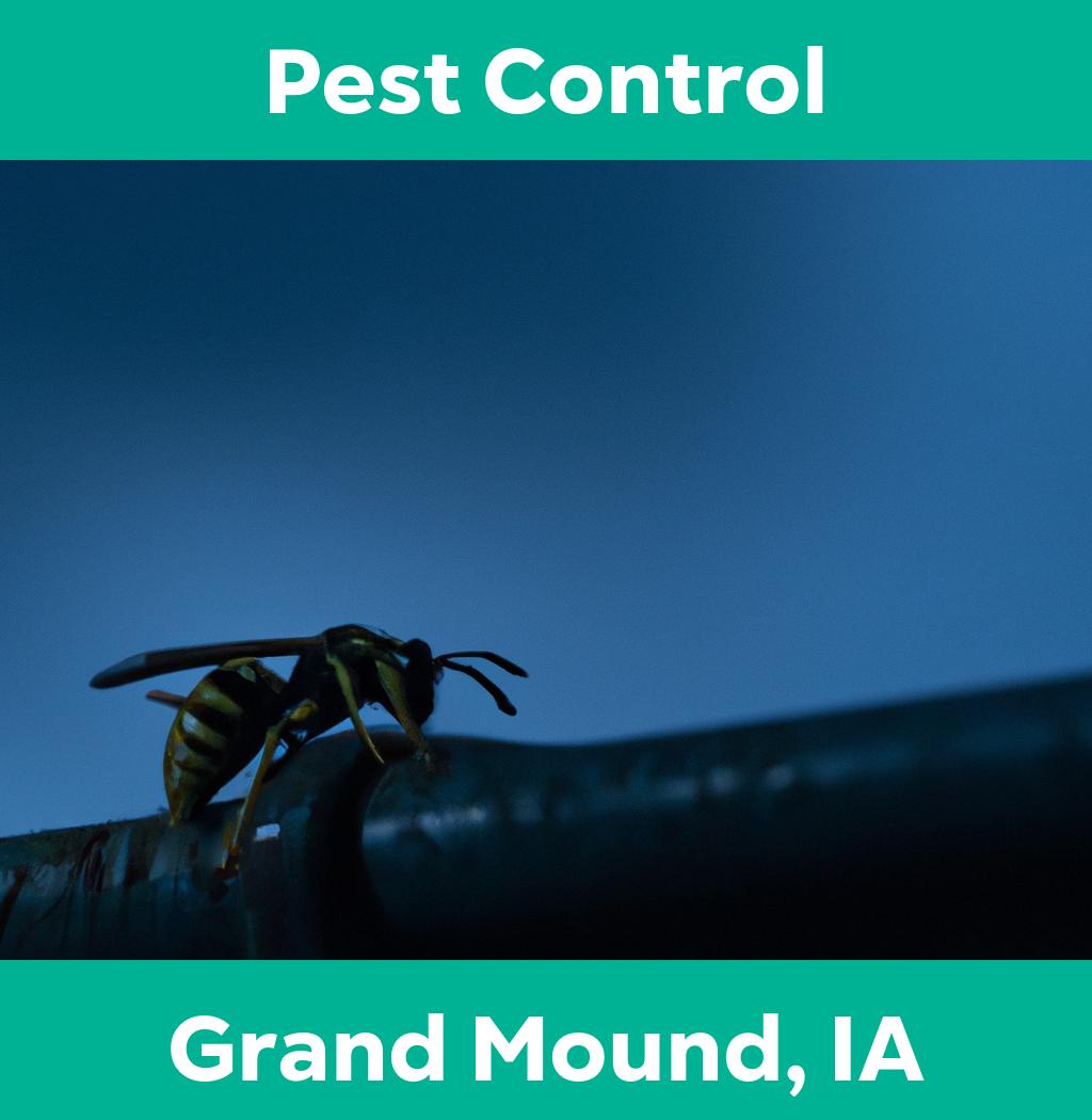 pest control in Grand Mound Iowa