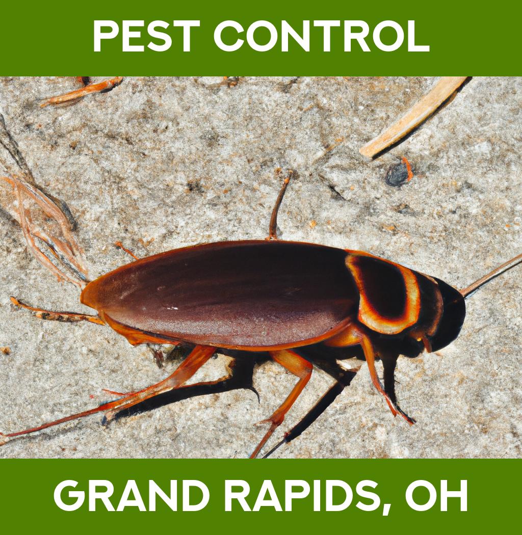pest control in Grand Rapids Ohio
