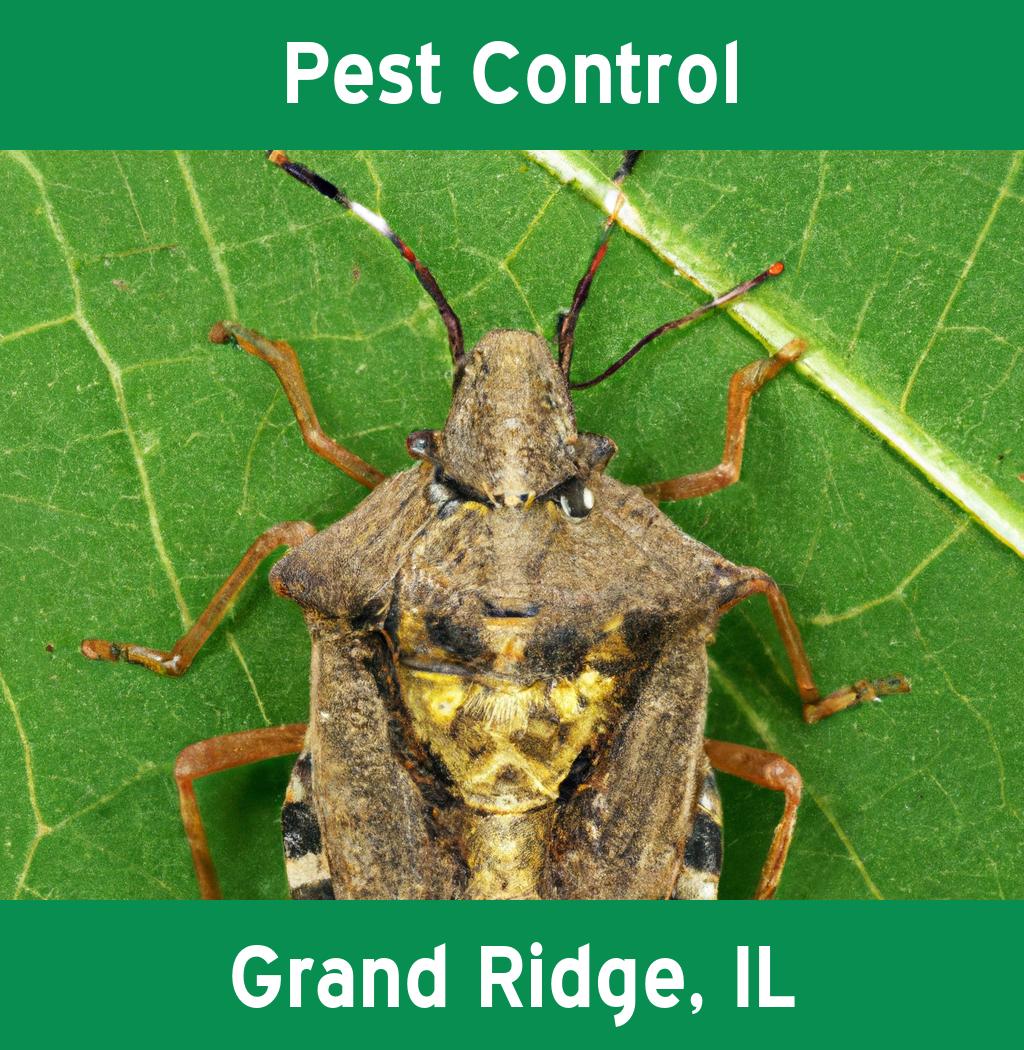 pest control in Grand Ridge Illinois