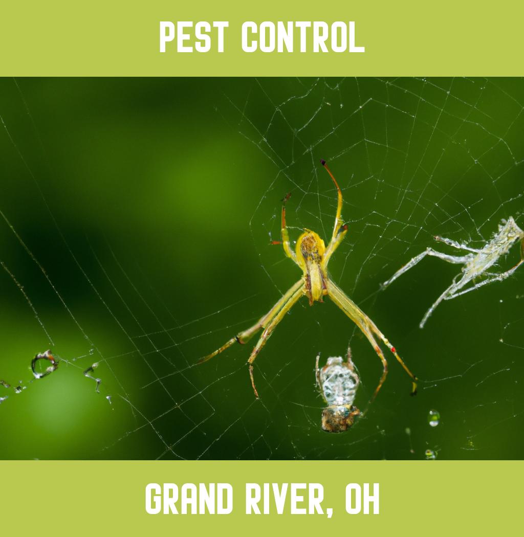 pest control in Grand River Ohio