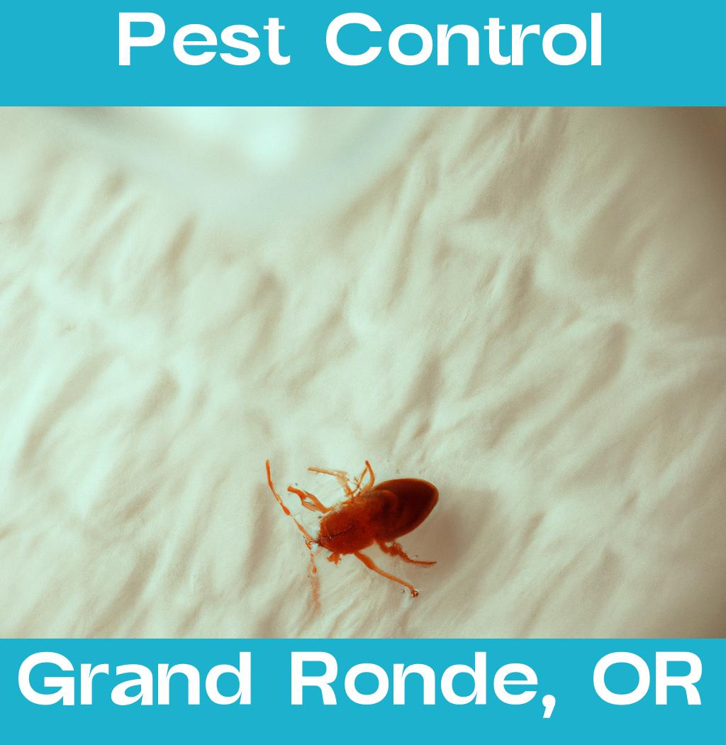 pest control in Grand Ronde Oregon