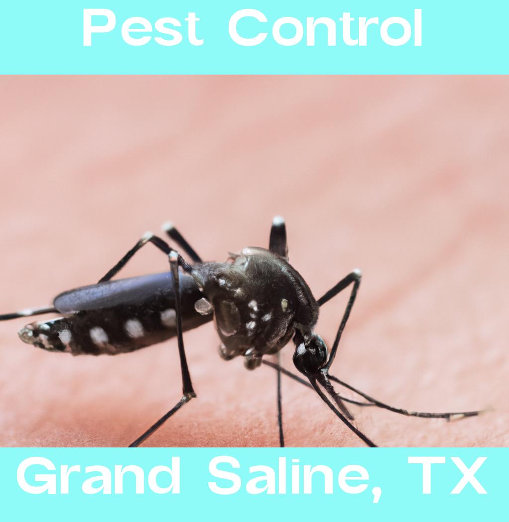 pest control in Grand Saline Texas