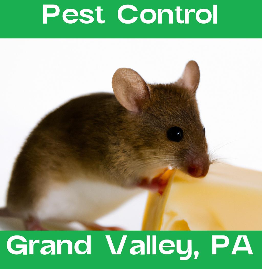 pest control in Grand Valley Pennsylvania
