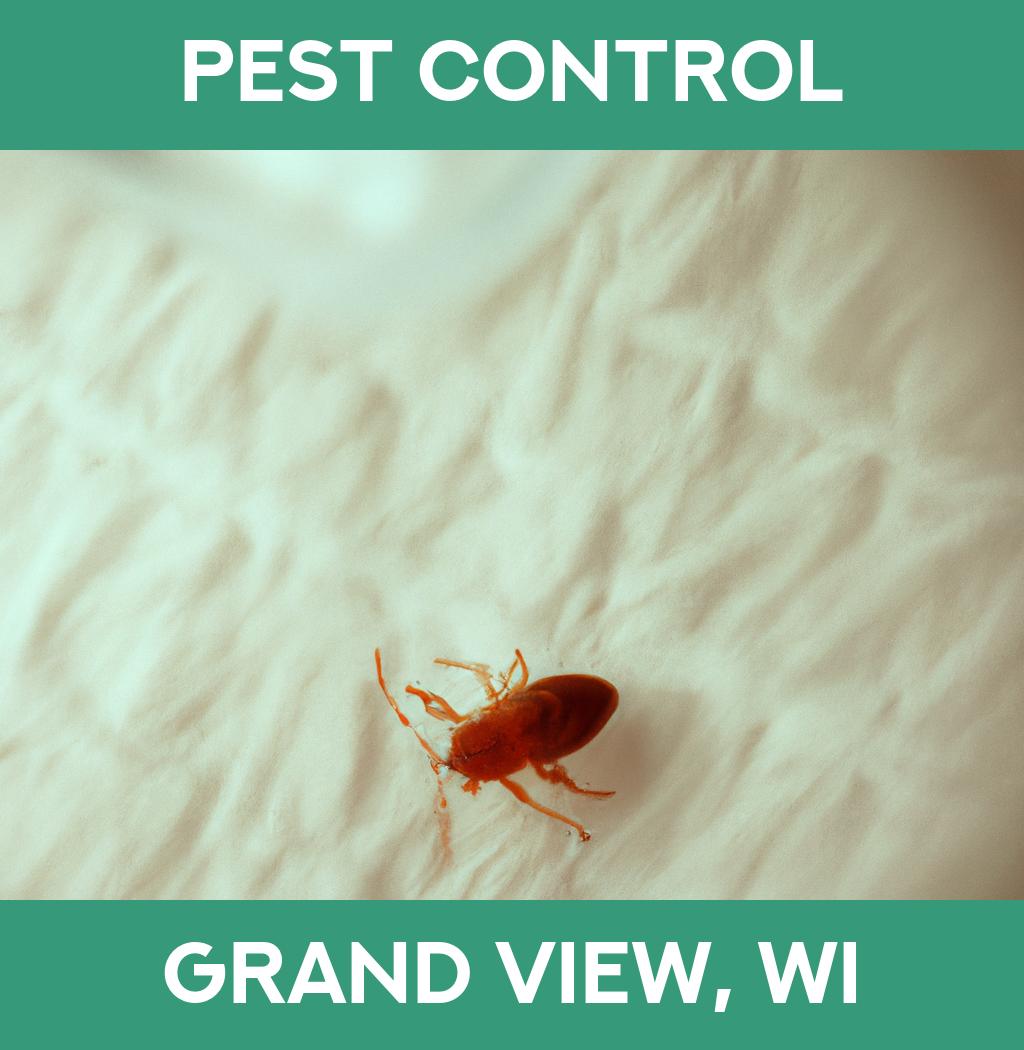 pest control in Grand View Wisconsin