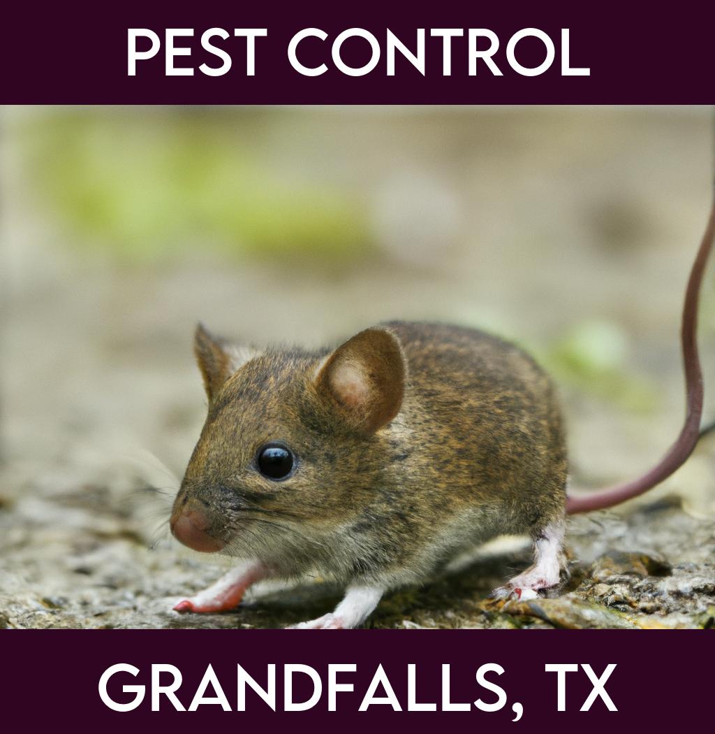 pest control in Grandfalls Texas