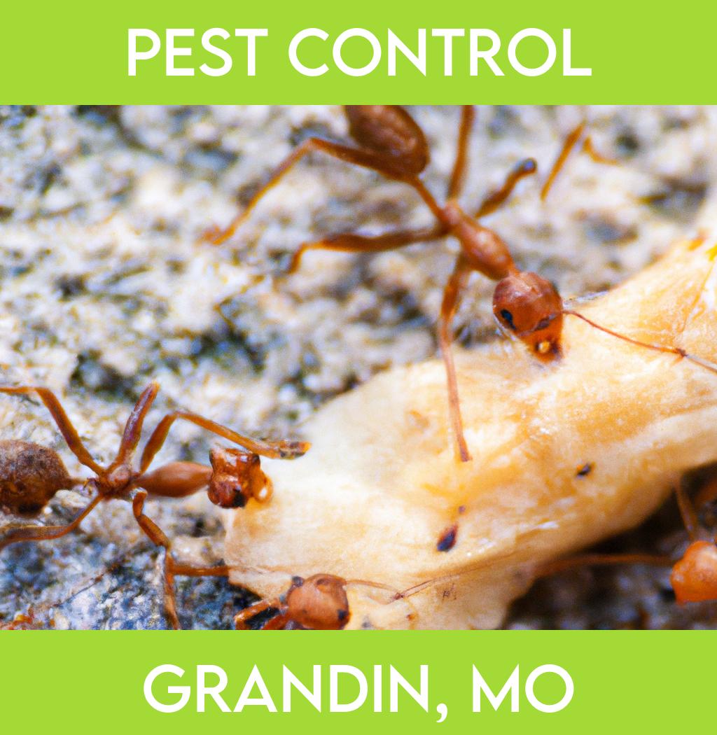 pest control in Grandin Missouri