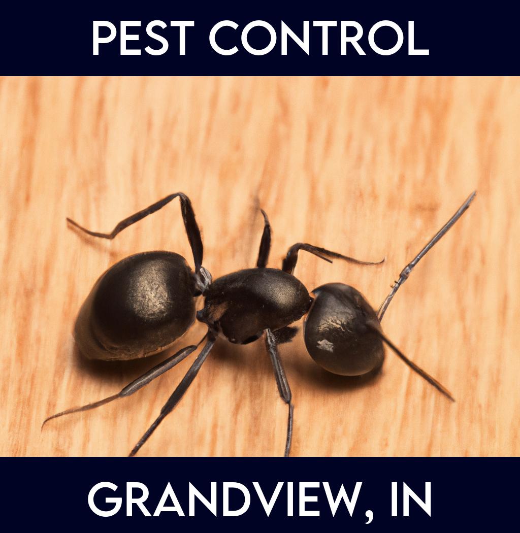 pest control in Grandview Indiana