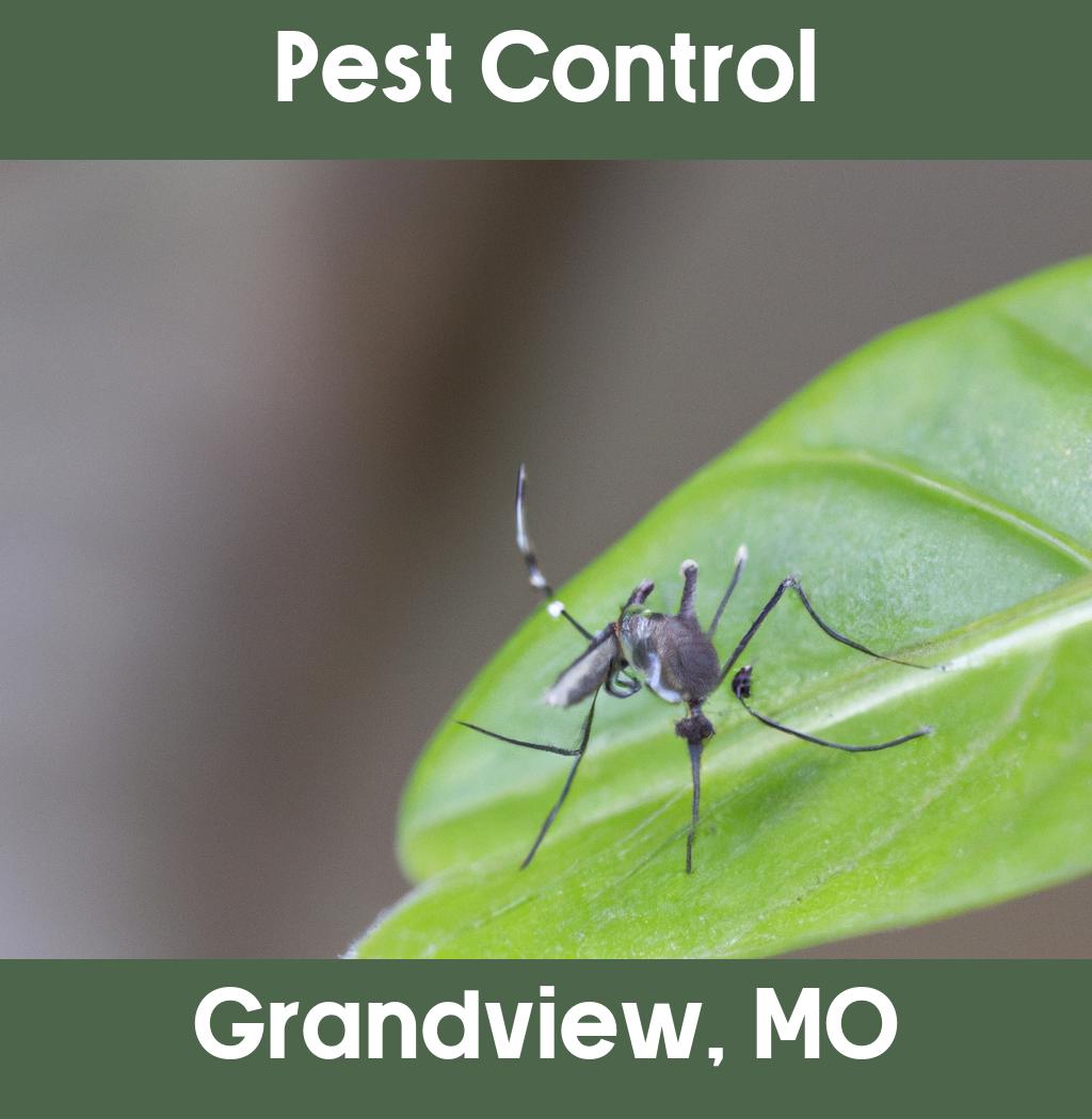 pest control in Grandview Missouri