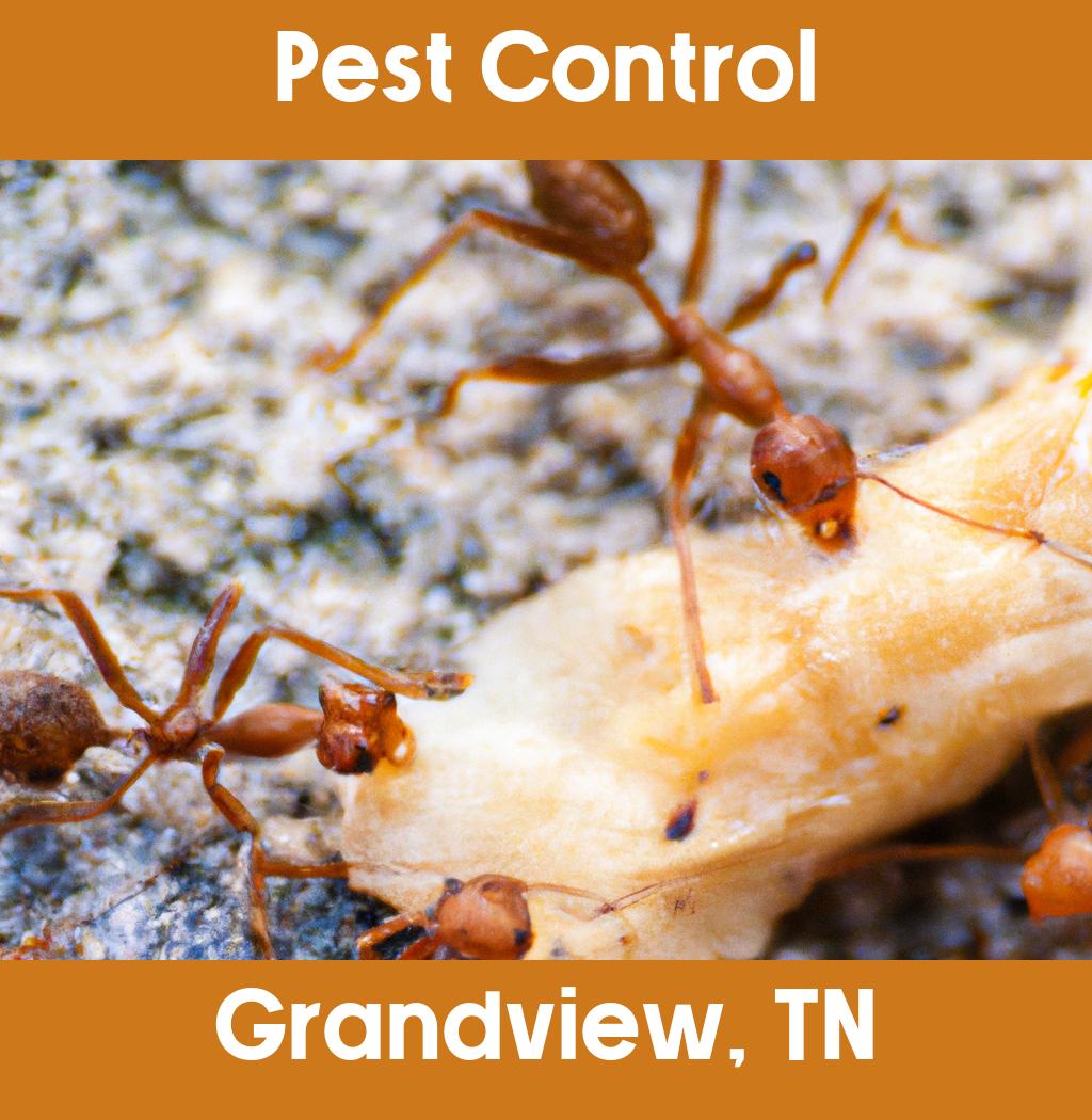 pest control in Grandview Tennessee