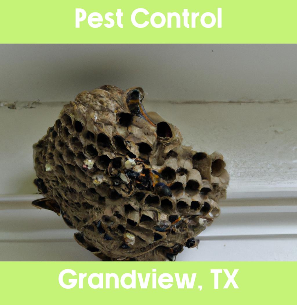 pest control in Grandview Texas