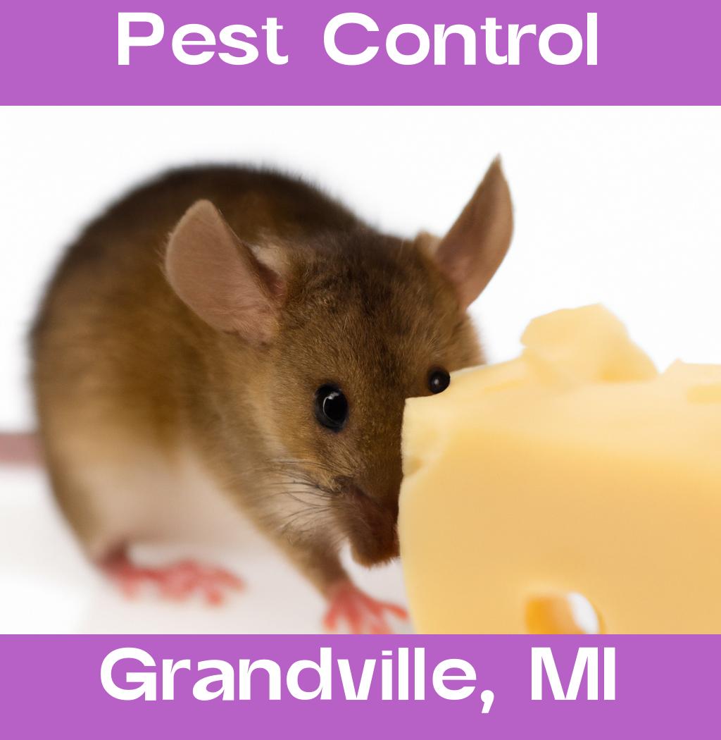 pest control in Grandville Michigan