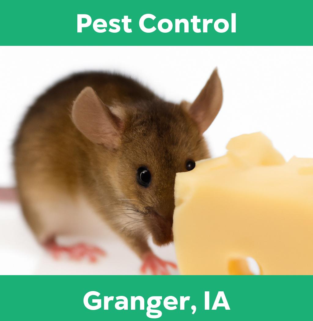 pest control in Granger Iowa