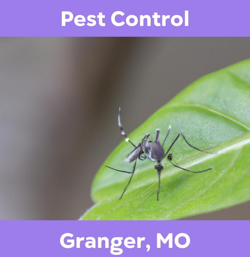 pest control in Granger Missouri