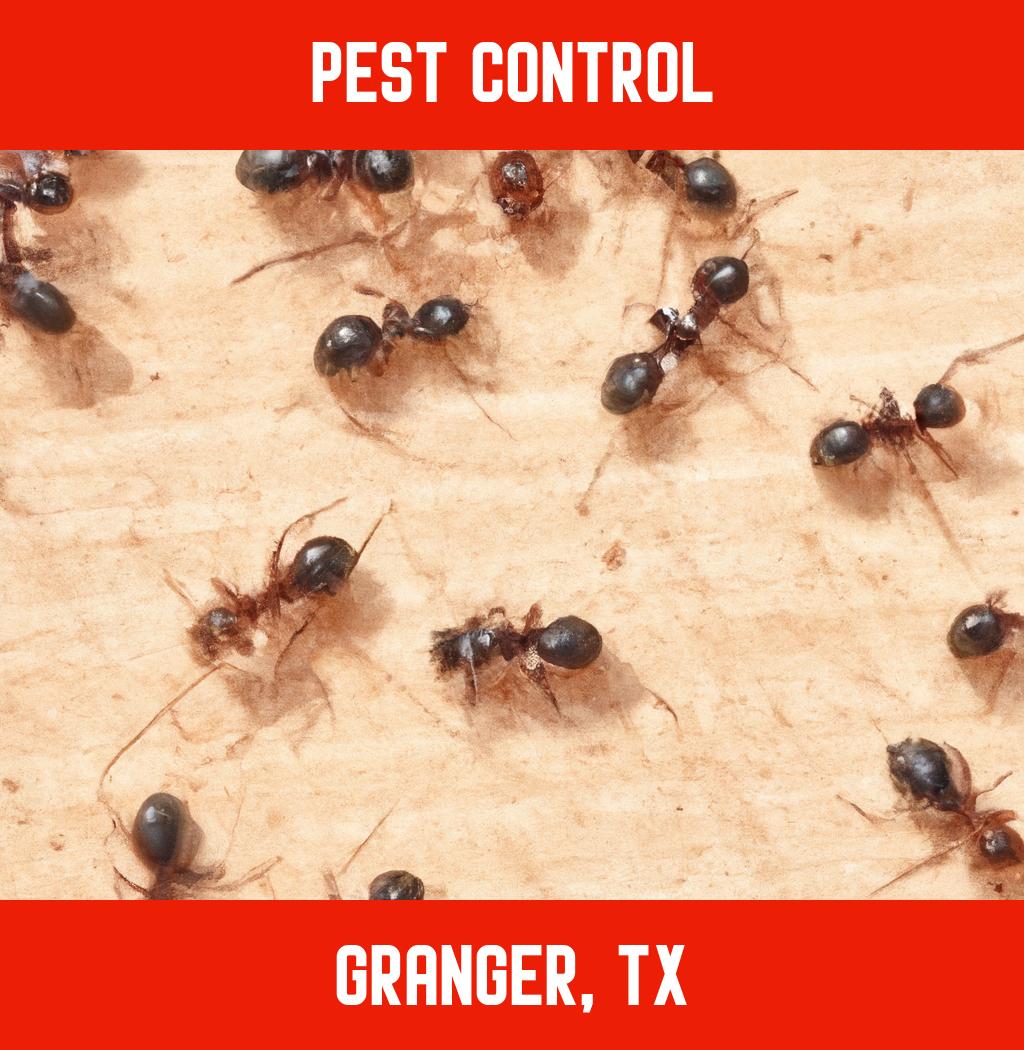pest control in Granger Texas