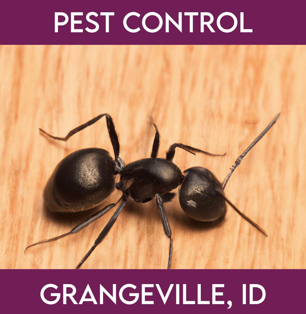 pest control in Grangeville Idaho