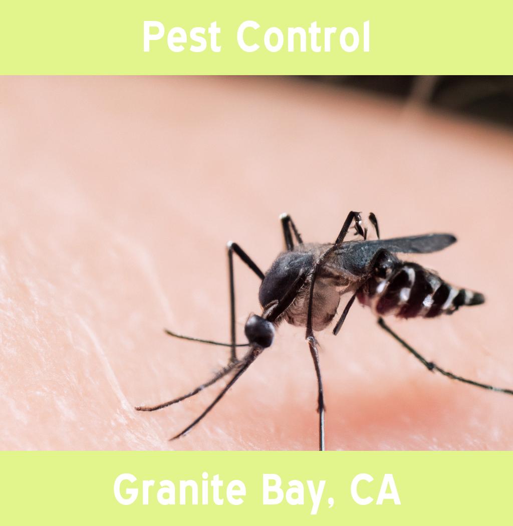 pest control in Granite Bay California