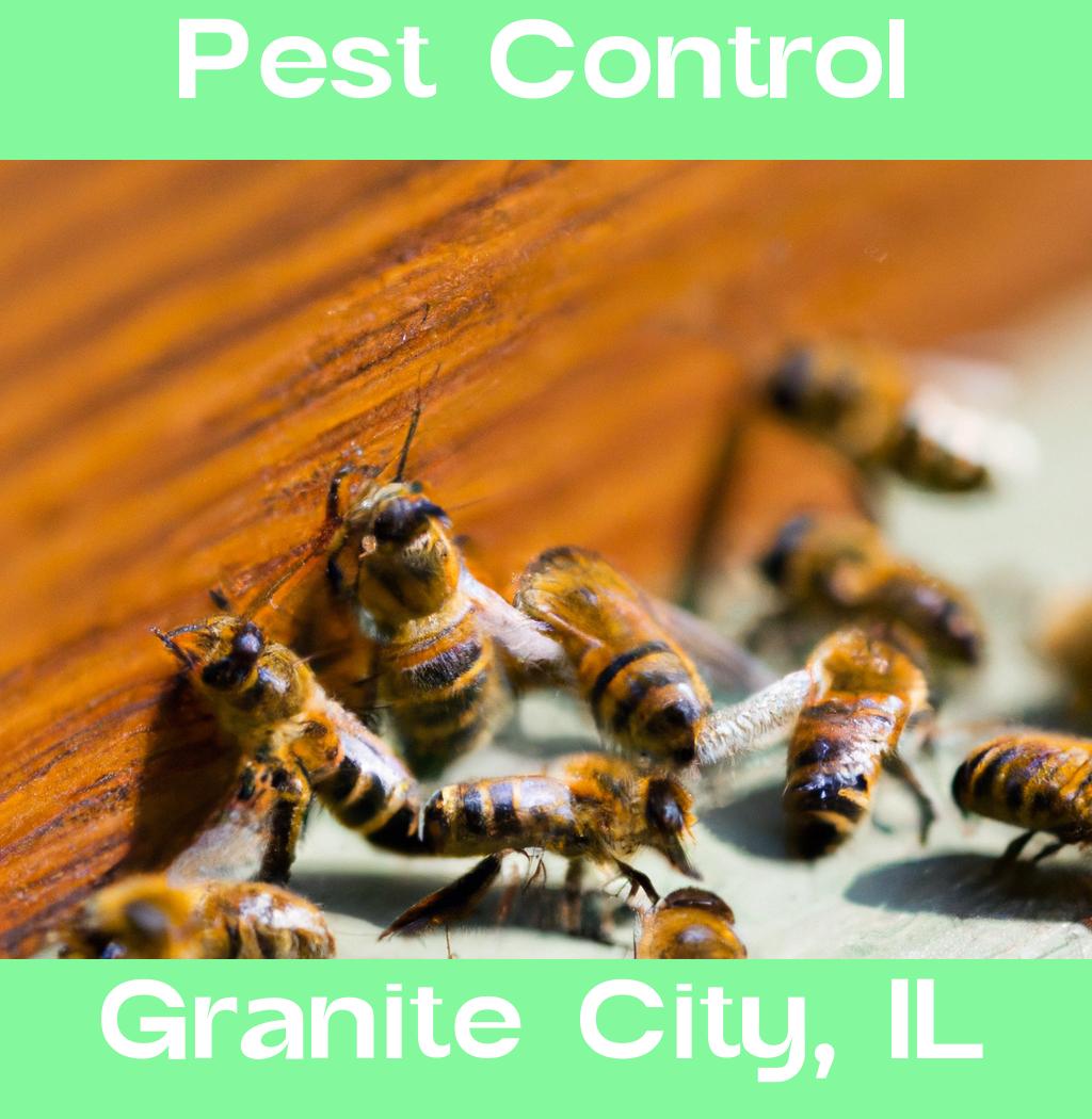 pest control in Granite City Illinois