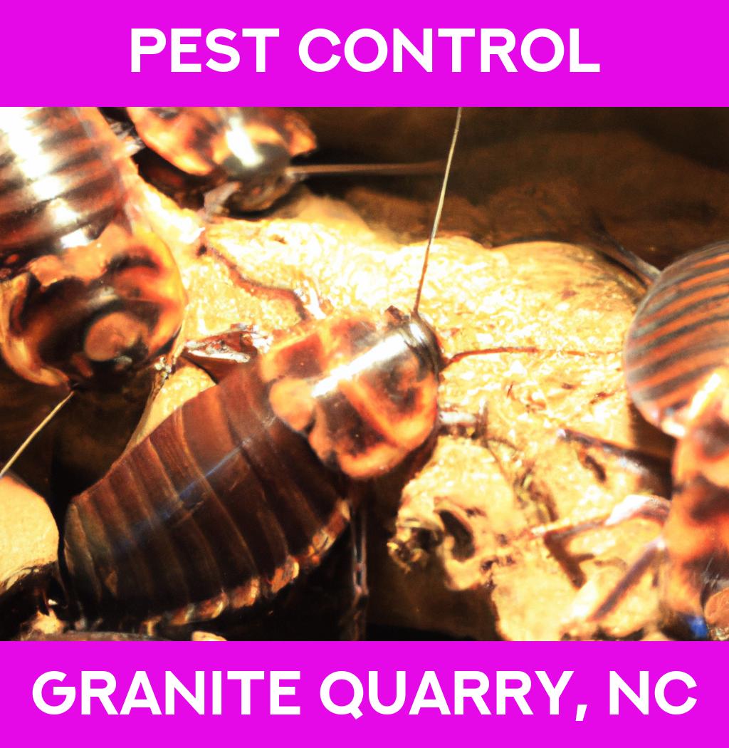 pest control in Granite Quarry North Carolina